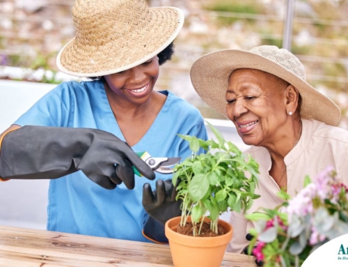 Keeping Seniors Engaged at Home: Creative Companion Care Ideas